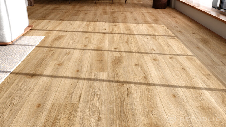 Alligator | SHI-Datenbank